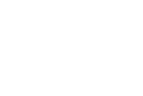 Logo De Laender I. bvba